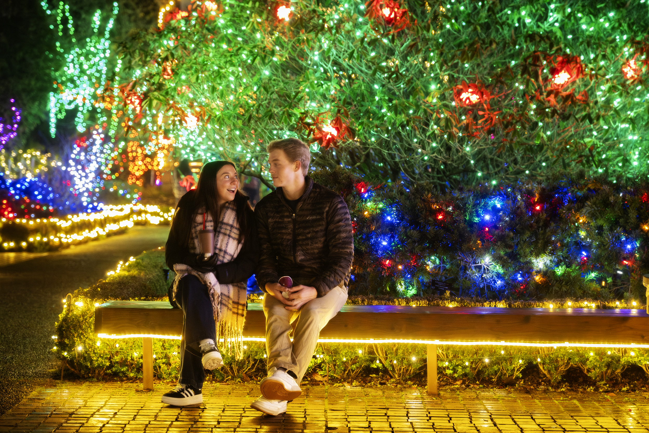 Lights, Sunset, Action